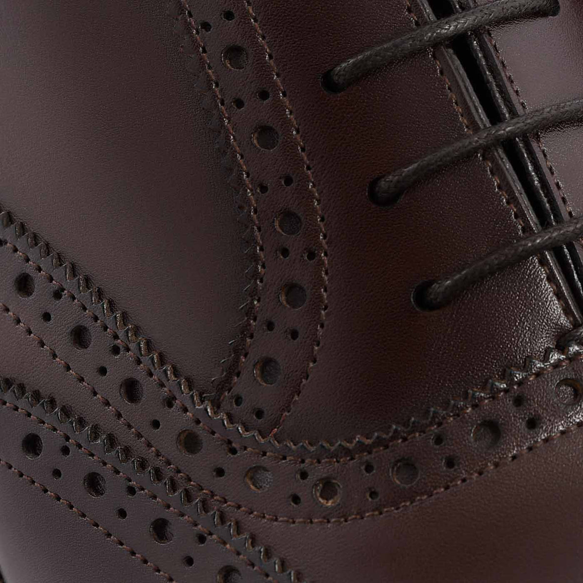 Ellington Wingtip Oxford