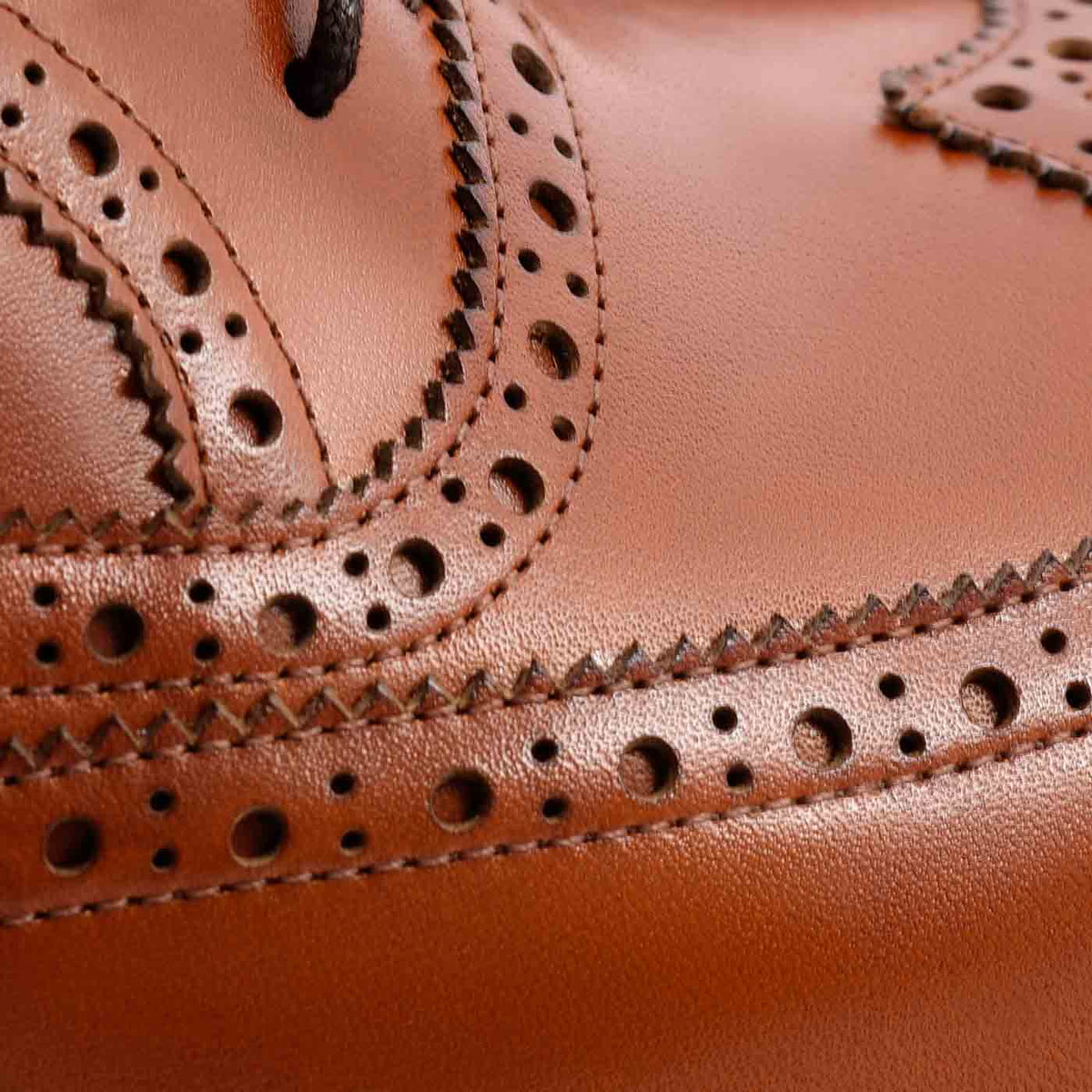 Ellington Wingtip Oxford